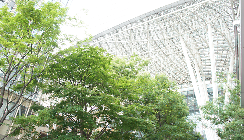 华体欢迎你 「Nメロディタウン」「CM★マーケット」からアクセスできる（携帯向けは6月末から配信開始）